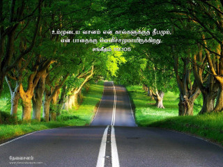 Road trees grass quote scenery - the side of the road free wallpaper