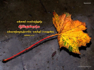 Leaf quote pavement black background - a quote free wallpaper