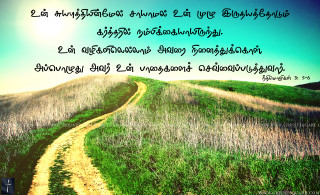 Lush green field road quote - a lush green field free wallpaper