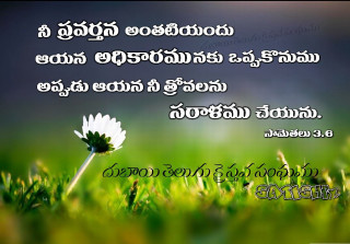 Flower in grass quote language - a flower free wallpaper