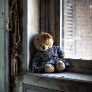 Teddy bear window sill decay - free other wallpaper