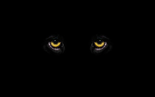 Black background yellow eyes white - daarken free wallpaper