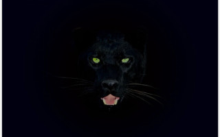 Black panther green eyes dark - a black panther free wallpaper