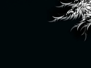 Black white bird gothic drawing - a white bird free wallpaper