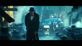 Man hat coat rain cane - blade runner free wallpaper for desktop