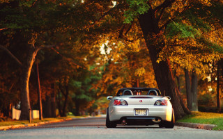 White sports car fall trees - a white sports car free wallpaper