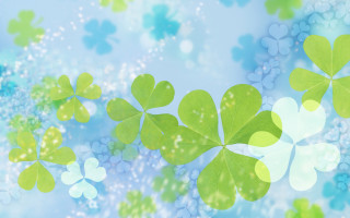 Four leaf clovers blue background - anne rigney free wallpaper