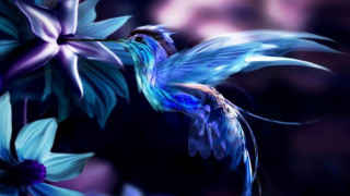 Blue bird flying purple flower - a blue bird free wallpaper