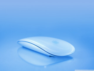 White mouse blue surface reflection - a blue surface free wallpaper