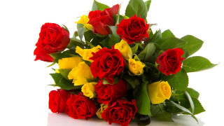 Red yellow roses bouquet white - a bouquet free wallpaper