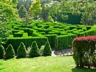 Large green garden maze lawn - tree and shrubs free wallpaper
