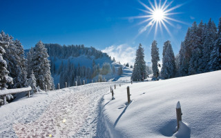 Snow covered mountain sun trees 3 - mountain free wallpaper