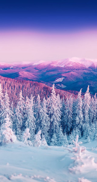Snowy mountains pink sky trees - a pink sky free wallpaper for mobile