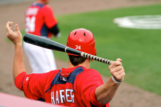 Baseball player holding bat field 3 - a bat free wallpaper for desktop