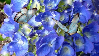 Blue flowers butterflies stars sky - digital free wallpaper for desktop
