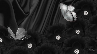 Black white butterfly flowers gothic - gothic art free wallpaper for desktop