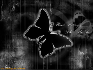 Black butterfly white outline black - a quote below free wallpaper
