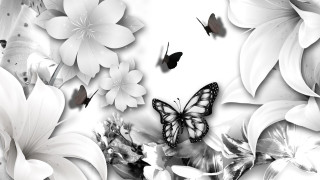 Butterfly flowers black white background 2 - butterfly free wallpaper