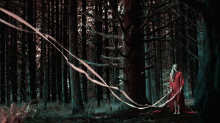 Woman red dress forest blood - a red cloak free wallpaper