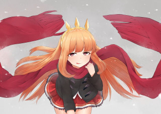 Girl long hair crown red - a red scarf free wallpaper