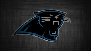 Black panther blue tiger face - dan frazier free wallpaper