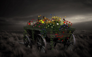 Wagon flowers field cloudy sky - a field under a cloudy sky free wallpaper