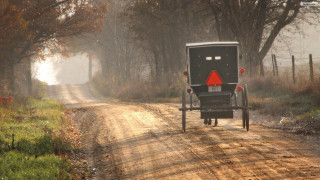Horse carriage country road trees - carriage free wallpaper
