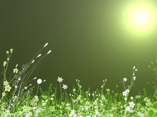 Green white flowery field bright - flowery free wallpaper
