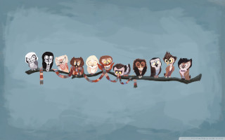 Owls branch ribbon eyes group - their neck free wallpaper for desktop