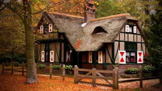 Thatched roof house autumn leaves - allaert van everdingen free wallpaper