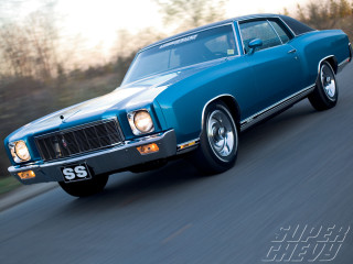 Blue car road trees bushes 2 - a number plate free wallpaper