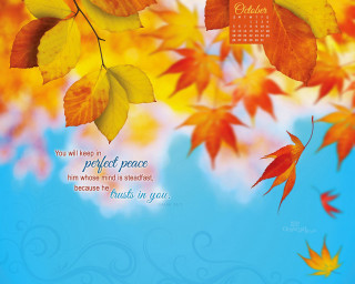 Calendar tree leaves sky clouds - bapu free wallpaper