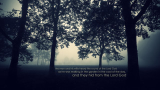 Foggy forest bible verse black - a foggy forest free wallpaper