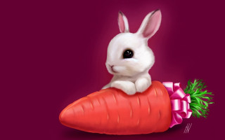 Rabbit sitting carrot bow neck - a rabbit free wallpaper