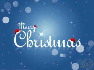 Merry christmas red roses blue - merry free wallpaper