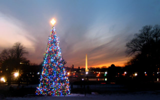 Christmas tree washington monument evening - american impressionism free wallpaper