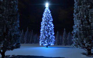 Christmas tree lit snow night 6 - the top free wallpaper