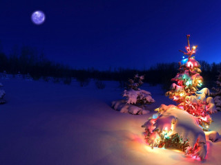 Christmas tree lit snow night 2 - a christmas tree free wallpaper for desktop