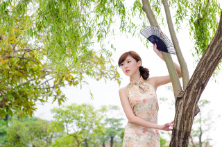 Woman dress fan tree sky - fan kuan free wallpaper
