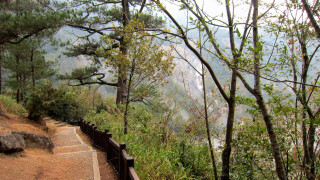 Path wooden railing mountain trees - phuoc quan free wallpaper