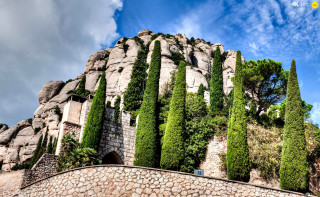 Stone wall trees blue sky - a stone wall free wallpaper