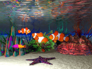 Fish starfish colorful aquarium corals - bernard meninsky free wallpaper for desktop