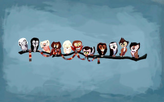 Owls branch blue sky background - craola free wallpaper