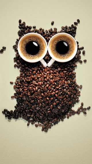 Coffee owl coffee beans eyes - free bird wallpaper