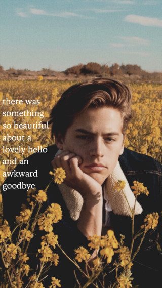 Man sitting flower field polaroid - free vintage wallpaper