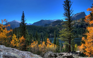 Scenic mountain lake yellow leaves - scenic free wallpaper