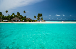 Beach hut palm trees ocean - free beach wallpaper for desktop