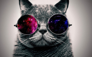 Cat glasses space theme lens 2 - len free wallpaper