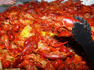 Cooked crawfish pile pan spatula - a pan free wallpaper