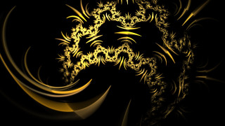 Lion head black background yellow - the side of the image free wallpaper